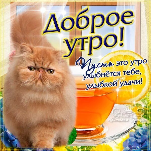 Картинки доброе утро прикольные пожеланиями свежие Ошибка 429 Good morning, Angel wallpaper, Album