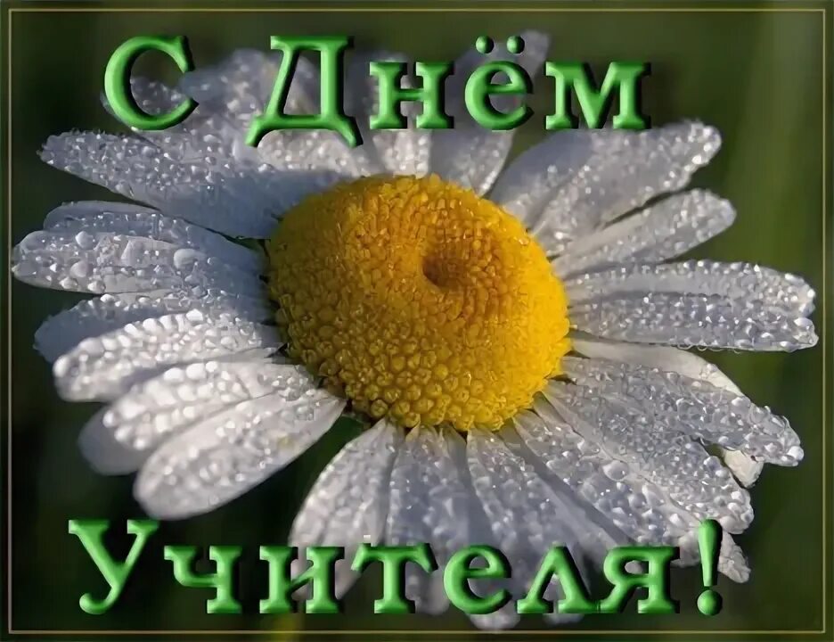 Картинки доброе утро с днем учителя 54834236 - Губайдат Рашидовна Казакбиева