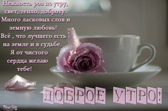 Картинки доброе утро с красивыми стихами Доброе утро (нежность роз по утру) - анимационные картинки и gif открытки Доброе