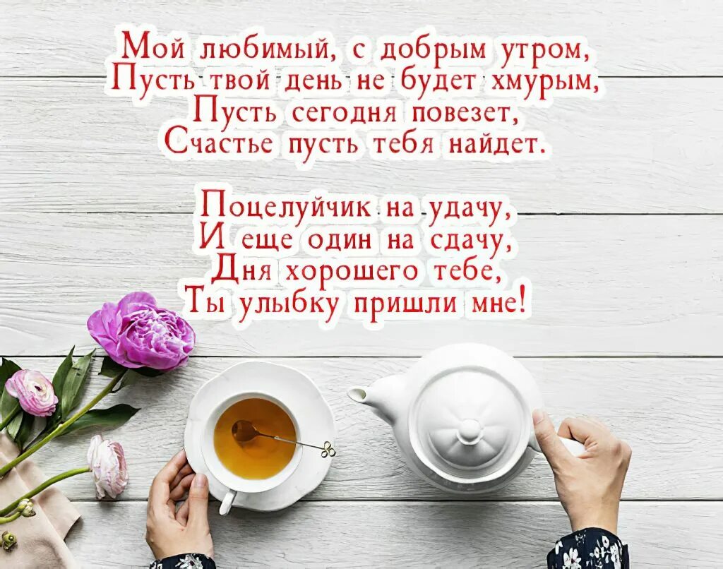 Картинки доброе утро с красивыми стихами Пожелания с добрым утром любимой девушке или женщине своими словами - красивые и