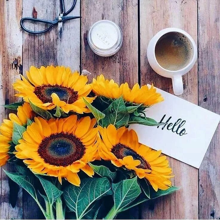 Картинки доброе утро с подсолнухами красивые Pin by Диана on Доброе утро Sunflower wallpaper, Sunflower iphone wallpaper, Sun