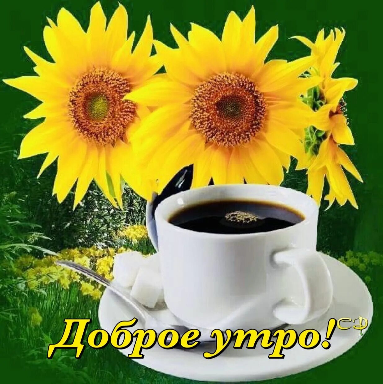 Картинки доброе утро с подсолнухами красивые Pin by Светлана on Доброе утро Coffee latte art, Coffee art, Coffee vs tea