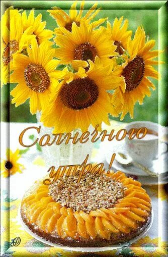 Картинки доброе утро с подсолнухами красивые Живые фотографии - Community - Google+