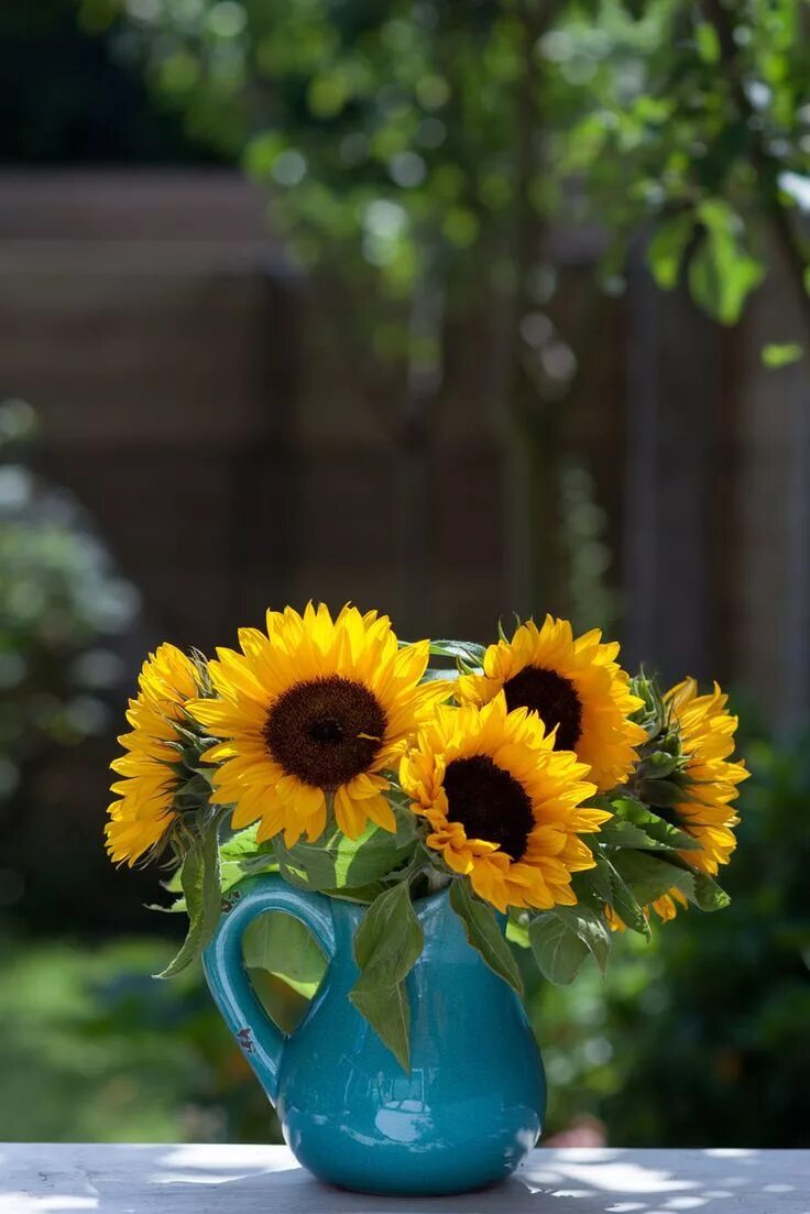 Картинки доброе утро с подсолнухами красивые Bouquet of sunflowers in blue vase in a garden Wildblumenwiese, Sonnenblumen, Bl