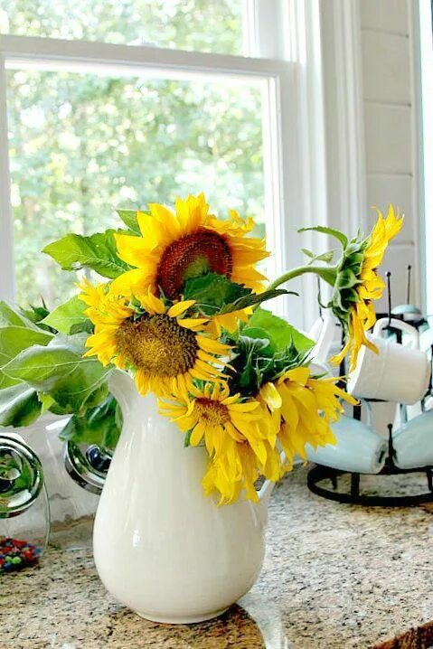 Картинки доброе утро с подсолнухами красивые How to cut sunflowers so they last - Duke Manor Farm by Laura Janning Sunflower,
