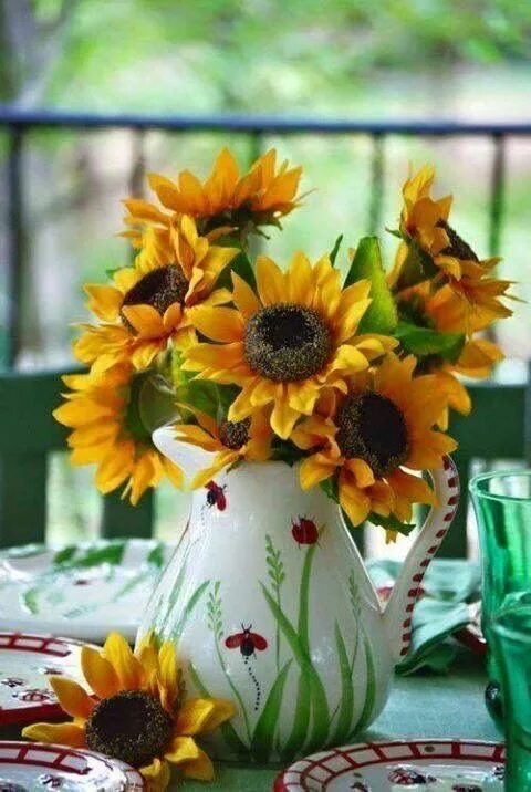 Картинки доброе утро с подсолнухами красивые Pin by uD83DuDC95uD83CuDF38 Miss on Sadie’s Sunflower Cottage Sunflowers and