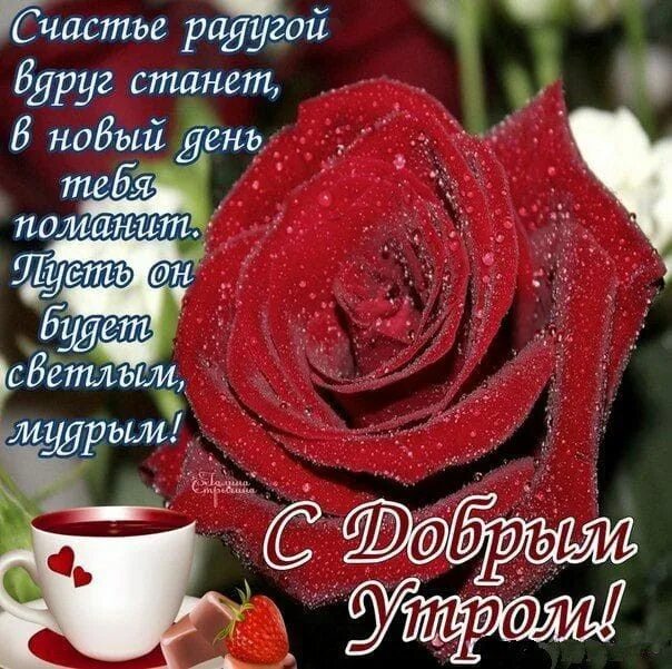Картинки доброе утро с пожеланиями крупно Пин от пользователя Татьяна на доске утра доброго желаю.... в 2022 г Доброе утро