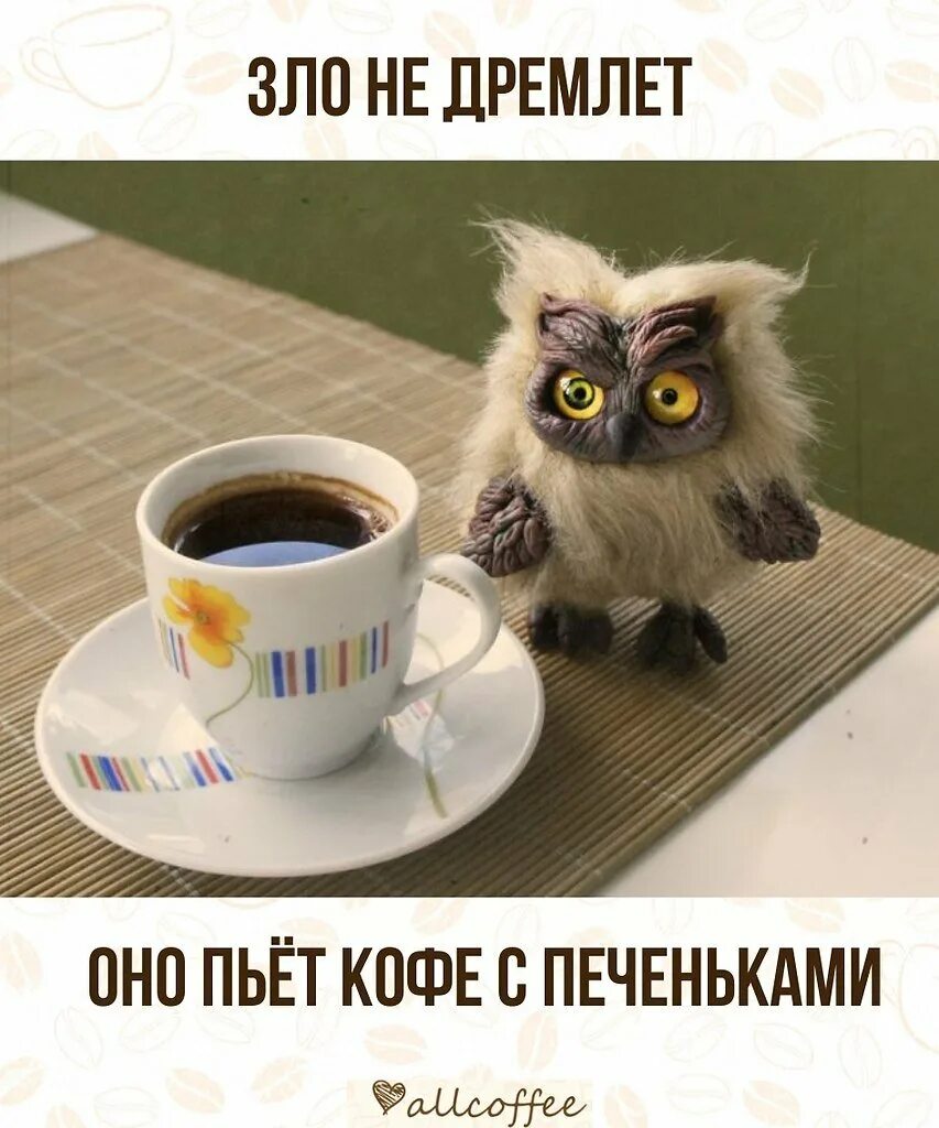 Картинки доброе утро с приколами необычные пожеланиями Доброе утро с пожеланиями с животными прикольные: найдено 80 изображений