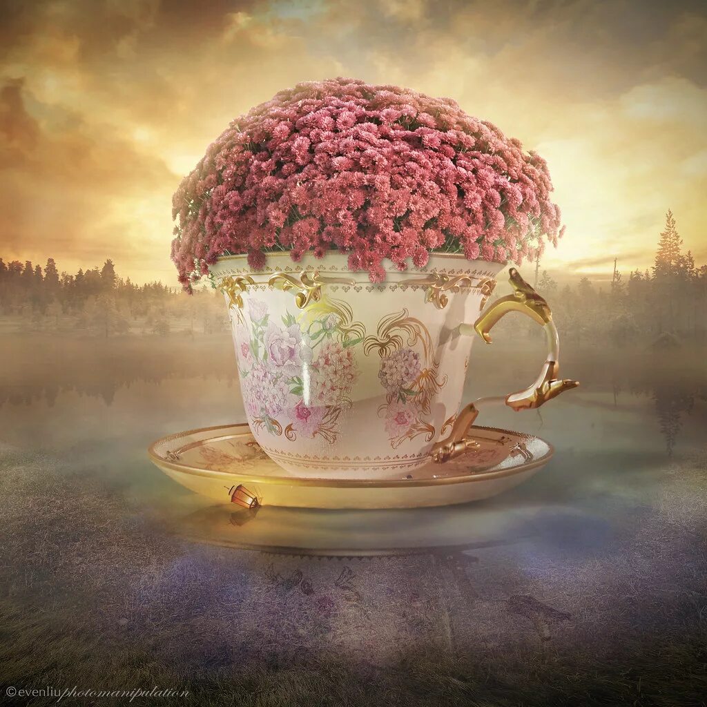 Картинки доброе утро самые необычные позитивные teacup a photomanipulation work with my own photo if you l. Flickr