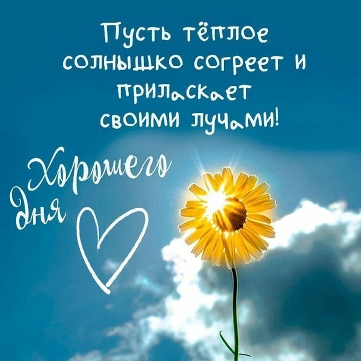 Картинки доброе утро счастливый день позитивные Хорошего дня! Открытки, Счастливые картинки, Любимые цитаты