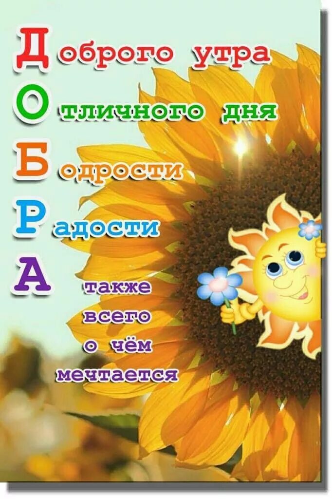 Картинки доброе утро счастливый день позитивные Пин от пользователя Olga на доске утро,вечер,праздники Веселые картинки, Доброе 