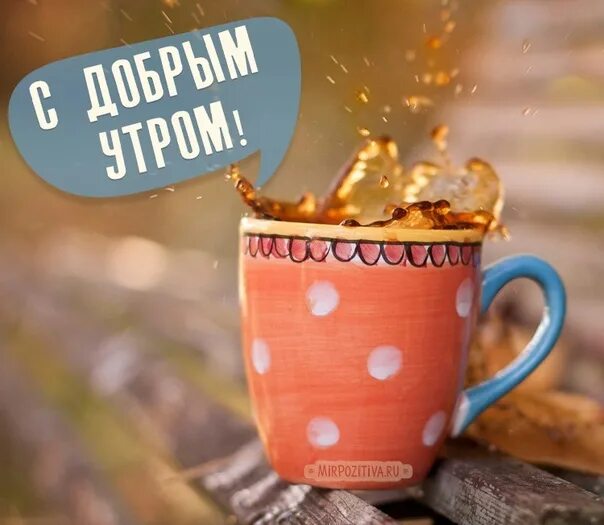 Картинки доброе утро сентября позитивные необычные прикольные ☀ Good morning to you, my sunshine. May your luck turn. Let all your plans come 
