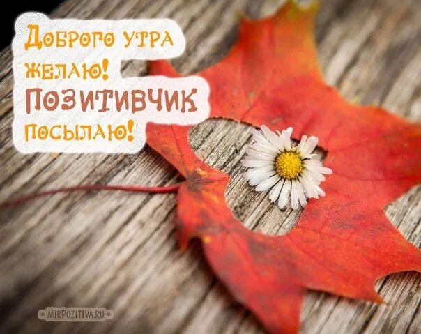 Картинки доброе утро сентября позитивные необычные прикольные #школанавигатор #пермскийрайон 2021 МАОУ "Фроловская средняя школа "Навигатор" В
