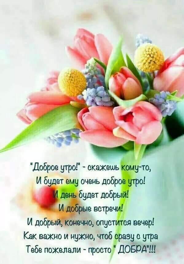 Картинки доброе утро со словами добра Pin by Lina on Доброе утро, вечер и день Bible verse pictures, Inspirational quo