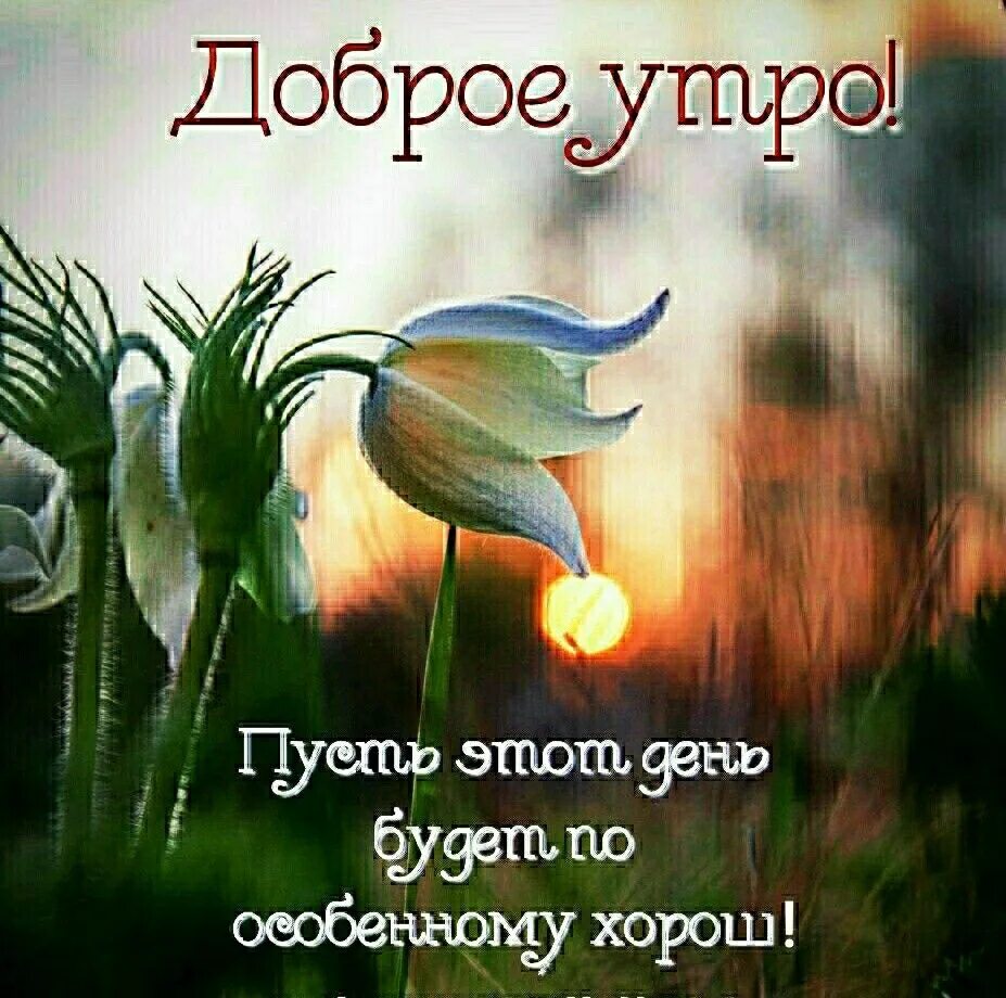Картинки доброе утро со словами добра Добрые картинки с добрым смыслом