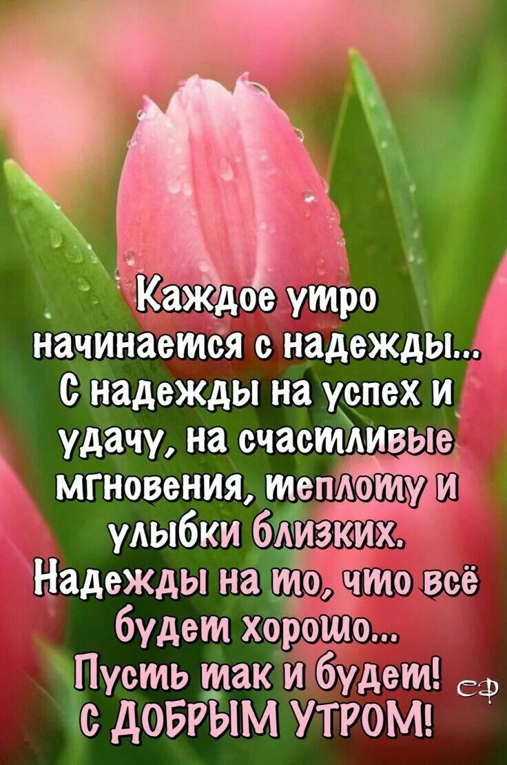 Картинки доброе утро со словами добра Пин от пользователя Валентина Бутенко на доске доброе утро Цитаты про доброе утр