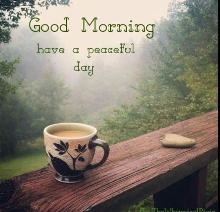 Картинки доброе утро со смыслом бесплатно Pin by TISHA on Morning Good morning funny, Good morning my friend, Good morning