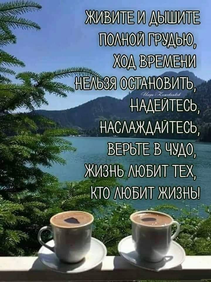 Картинки доброе утро со смыслом бесплатно Интересные новости Вдохновляющие цитаты, Вдохновляющие фразы, Поддерживающие цит