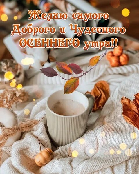 Картинки доброе утро среда осень с пожеланиями Доброе утро! - Просто ДОБРОЕ УТРО , пользователь Татьяна Лукоянова Группы Мой Ми