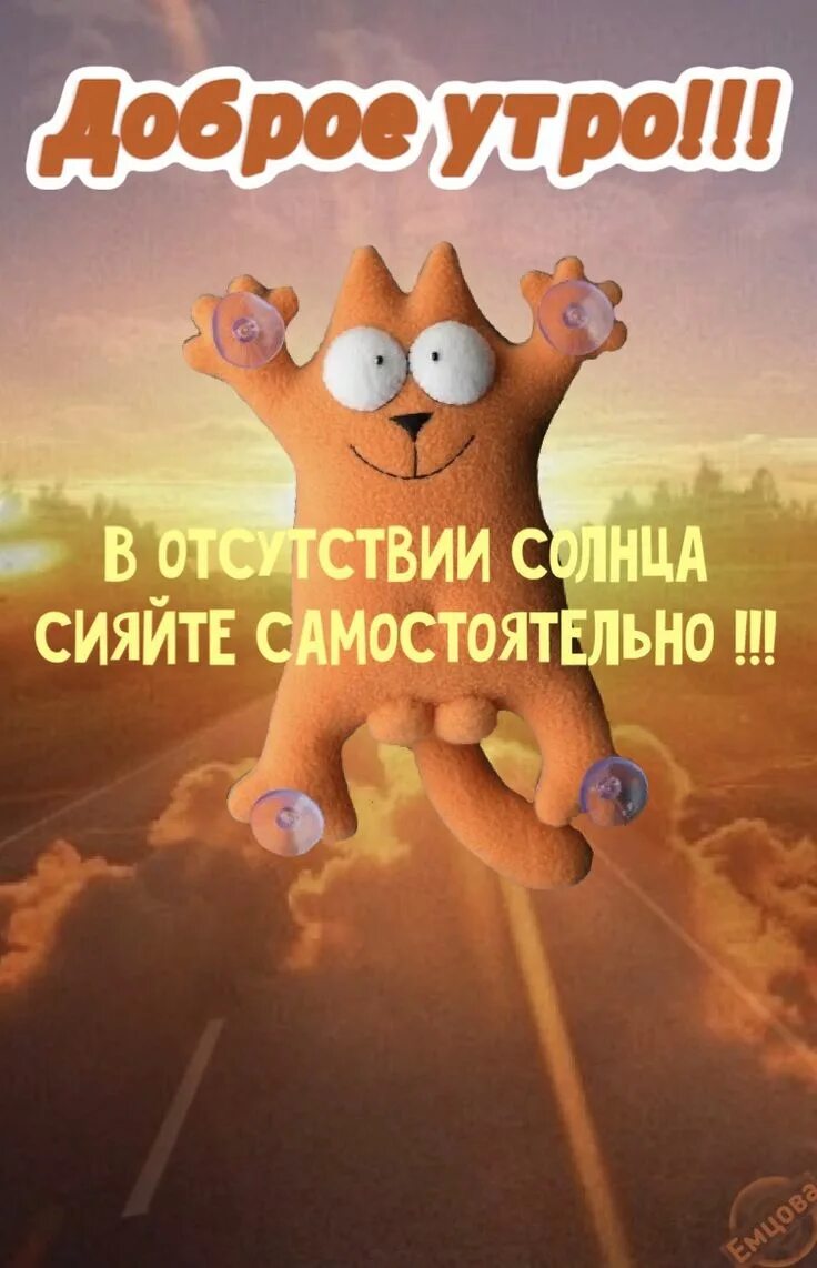 Картинки доброе утро страна позитивные Котики Смешные таблички, Счастливые картинки, Юмор про сон