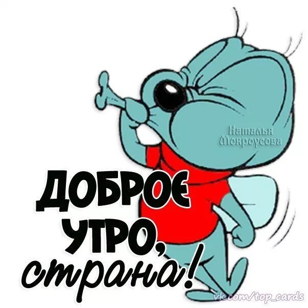 Картинки доброе утро страна позитивные Пин от пользователя Татьяна Болонина на доске Веселые цитаты в 2020 г Доброе утр