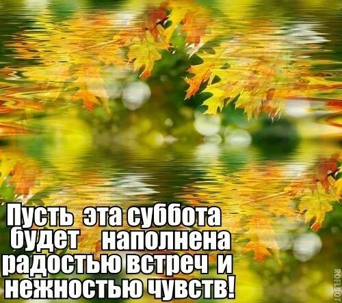 Картинки доброе утро субботы осенние необычные красивые День недели суббота. - Просто ДОБРОЕ УТРО , пользователь Людмила Далингер Группы
