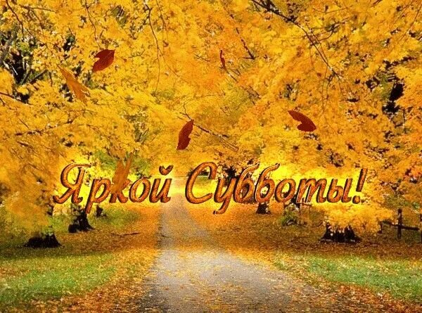 Картинки доброе утро субботы осенние необычные красивые Пин от пользователя Валентина Лютвинская на доске 1 Октября Субботы, Открытки, Д