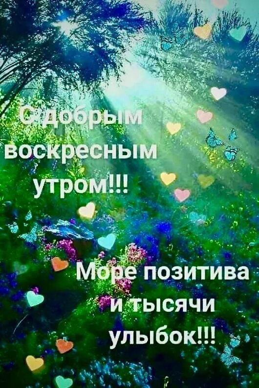 Картинки доброе утро умные мысли позитивные Пин от пользователя Елена Самойлова на доске Доброе утро Доброе утро, Утро воскр