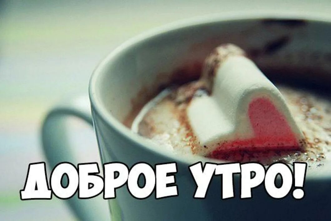 Картинки доброе утро в контакте прикольные С Добрым Утром и Хорошим днём! Музыкальная открытка! - смотреть видео онлайн от 