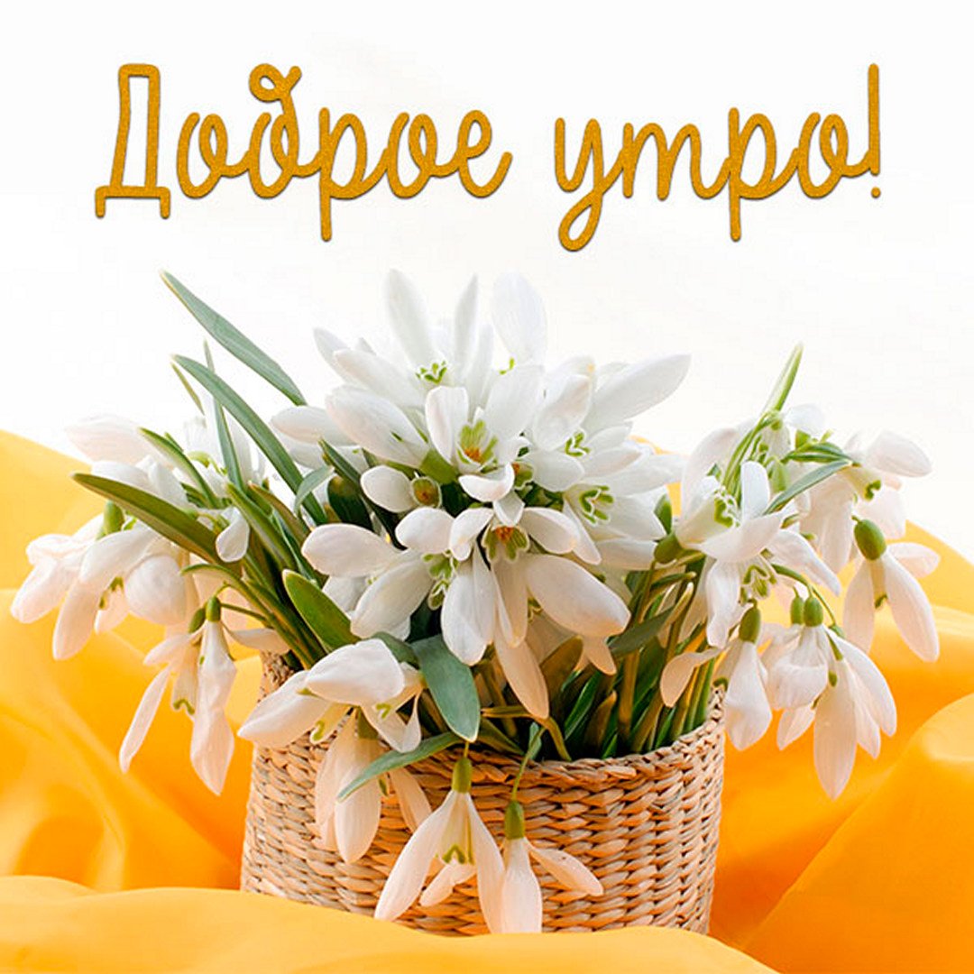 Картинки доброе утро весенние красивые с пожеланиями Доброеутро ру картинки прикольные весенние: найдено 81 изображений