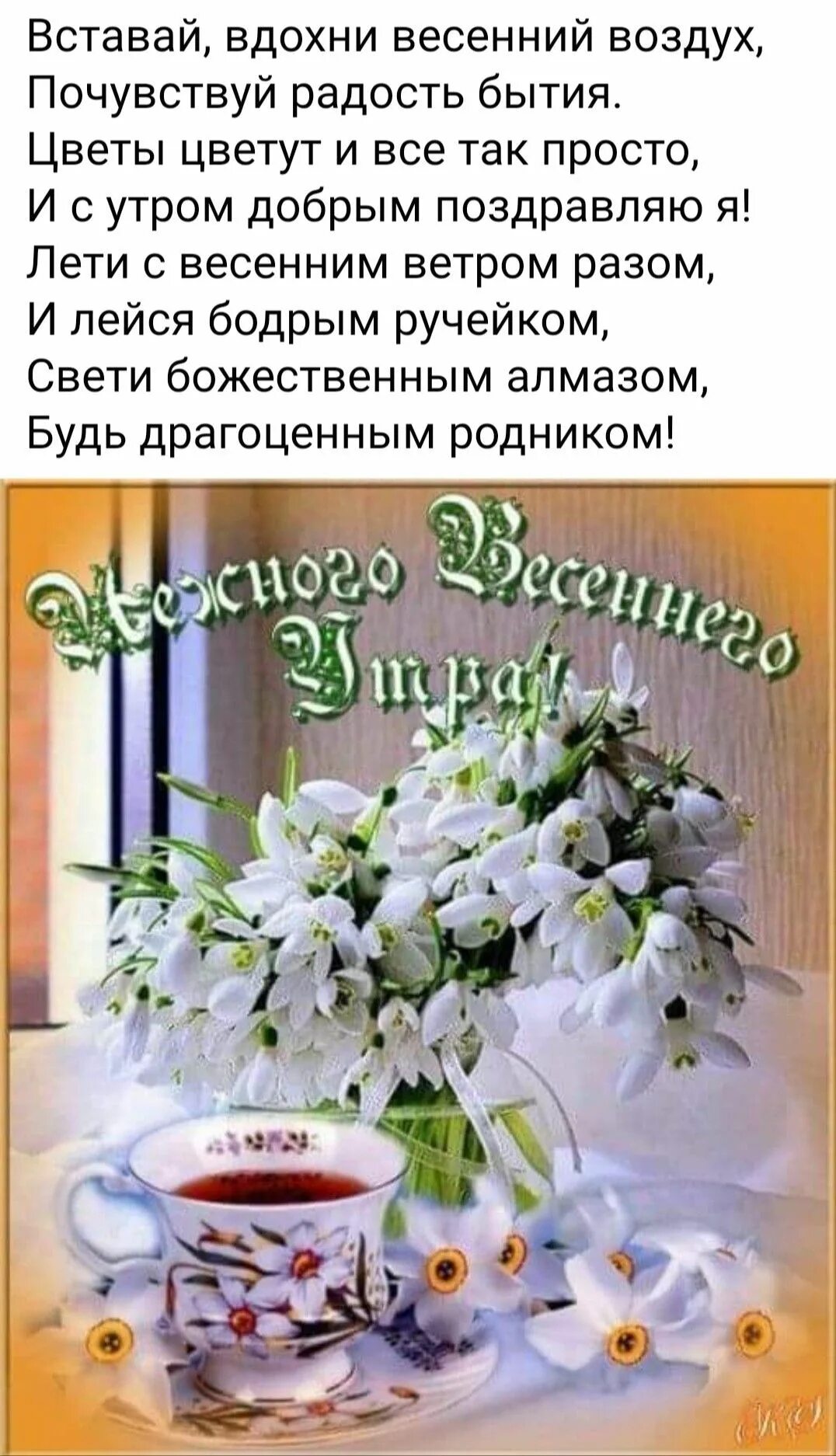 Картинки доброе утро весенние красивые с пожеланиями Пин от пользователя Marina Kurdisheva на доске Открытки Доброе утро, Весна, Цвет