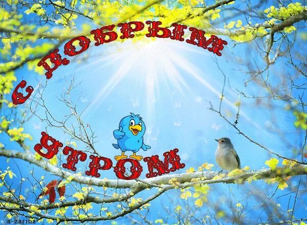 Картинки доброе утро весенние прикольные поднимающие С добрым утром! - анимационные картинки и gif открытки Открытки, Осенние картинк