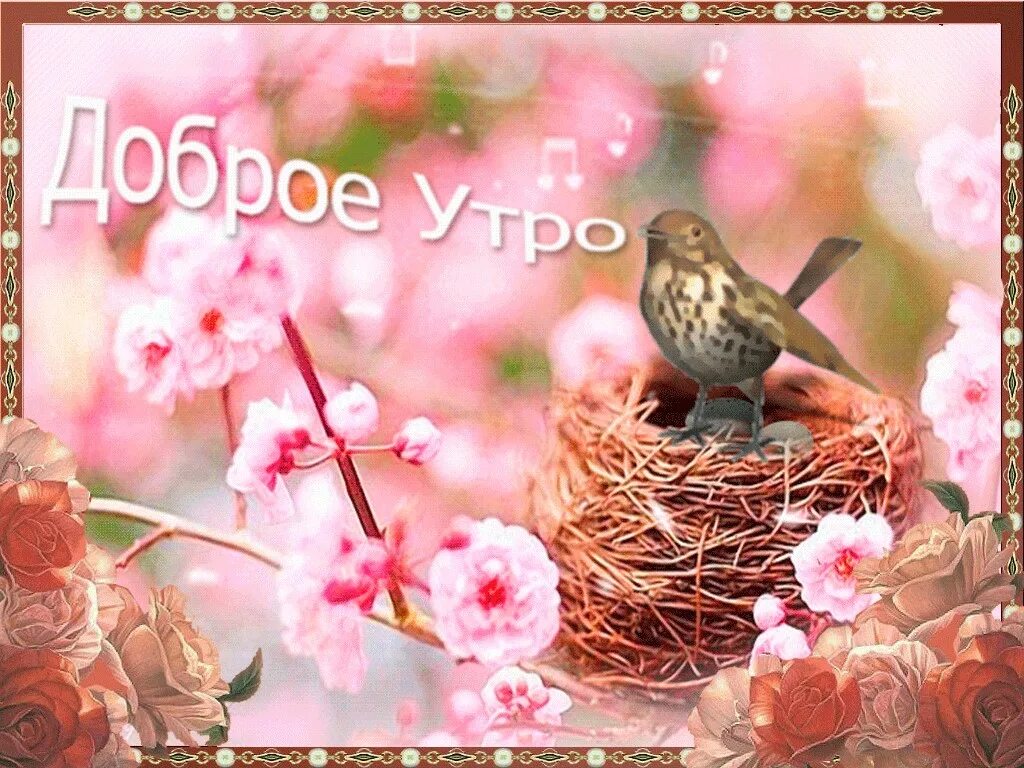 Картинки доброе утро весенние прикольные поднимающие Открыточку с добрым весенним утром