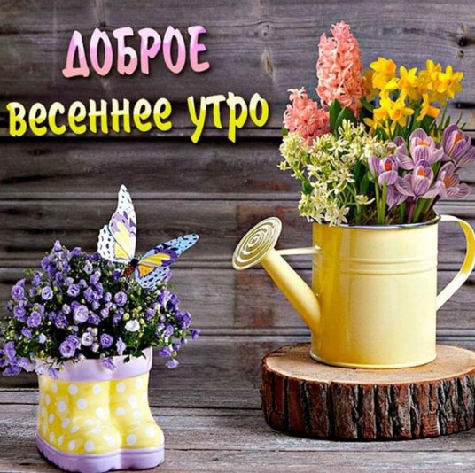 Картинки доброе утро весенние прикольные поднимающие Доброе весенее утро!