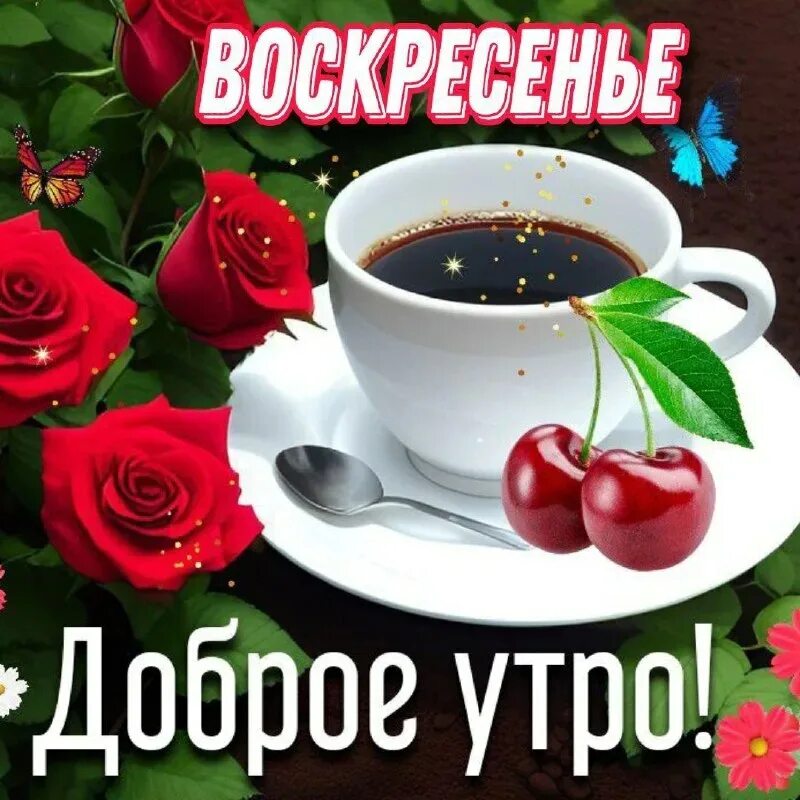 Картинки доброе утро вирус Наступило воскресенье! Все печали брось в чулан И с прекрасным настроением Ныряй