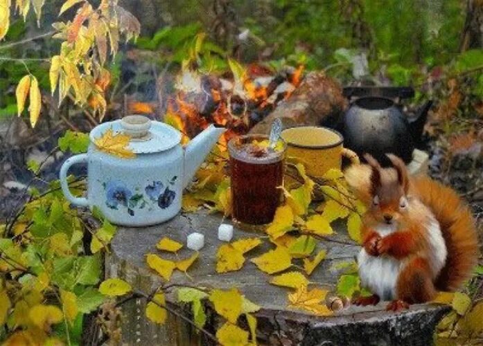 Картинки доброе утро выходные осенние Это не сложно - пить утренний кофе из самой красивой чашки в дом - Поэзия - 1315