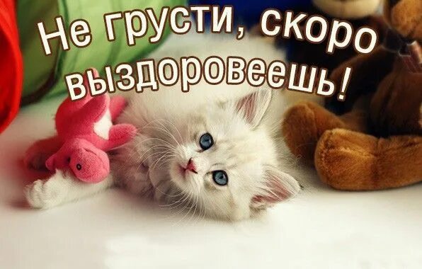 Картинки доброе утро выздоравливающим Пин на доске Полиграфия Смешные смайлики, Открытки, Смешно