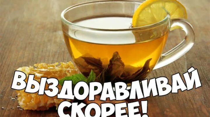Картинки доброе утро выздоравливающим Прикольные и красивые картинки, рисунки животных для срисовки Medicinal tea, Nut