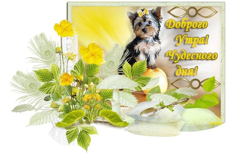 Картинки доброго денька с пожеланиями #доброе_утро@knyzhnaya_polka 2024 Книжная полка ВКонтакте