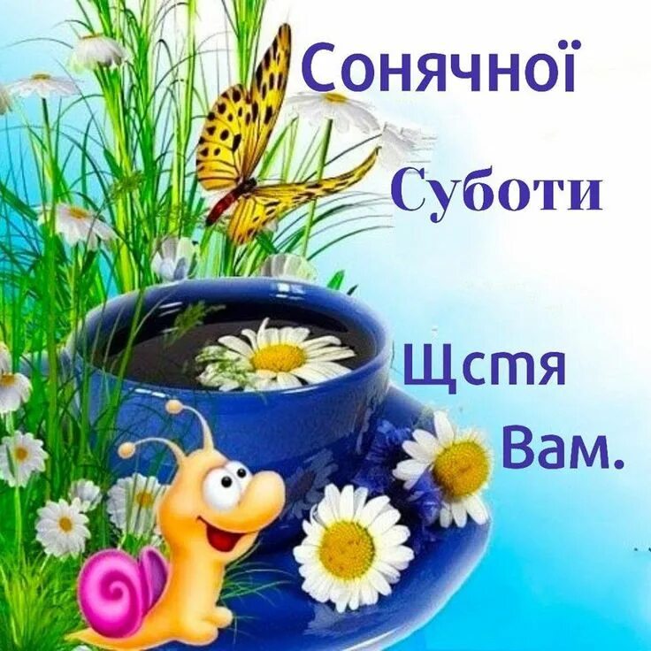 Картинки доброго денька с пожеланиями Добрий ранок! Я - субота, - Просвіта Good morning, My pictures, Animals and pets