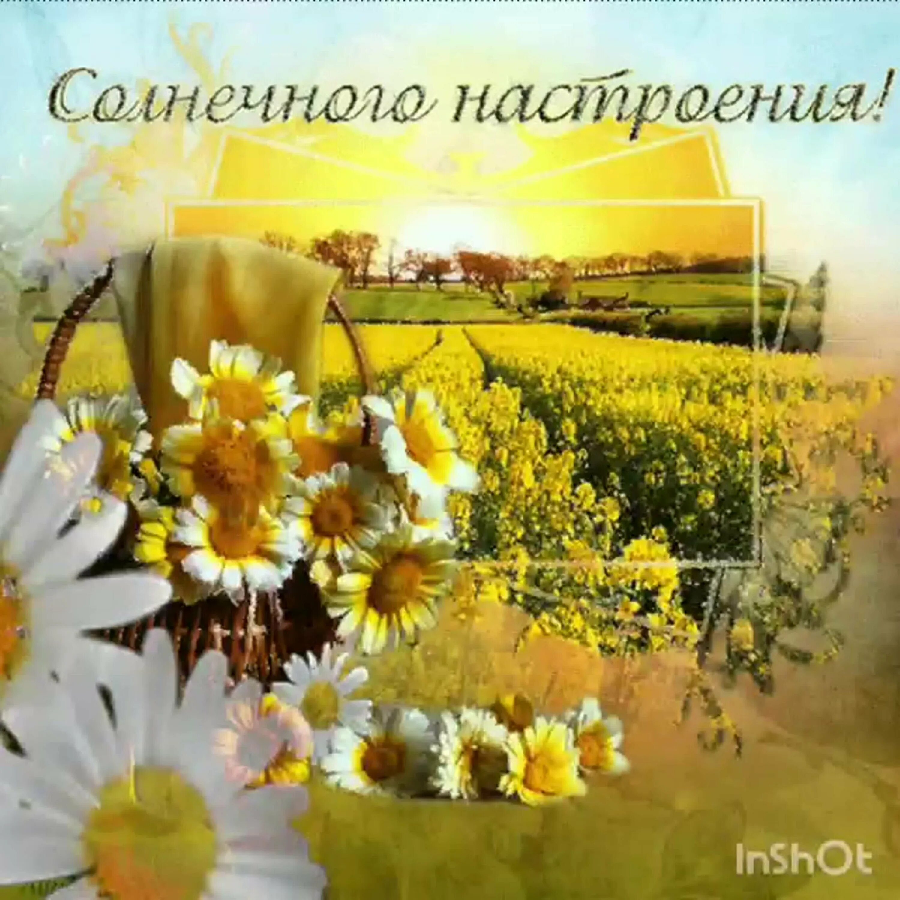 Картинки доброго дня хорошего настроения летние Гагарина Оксана Михайловна - Учительский сайт