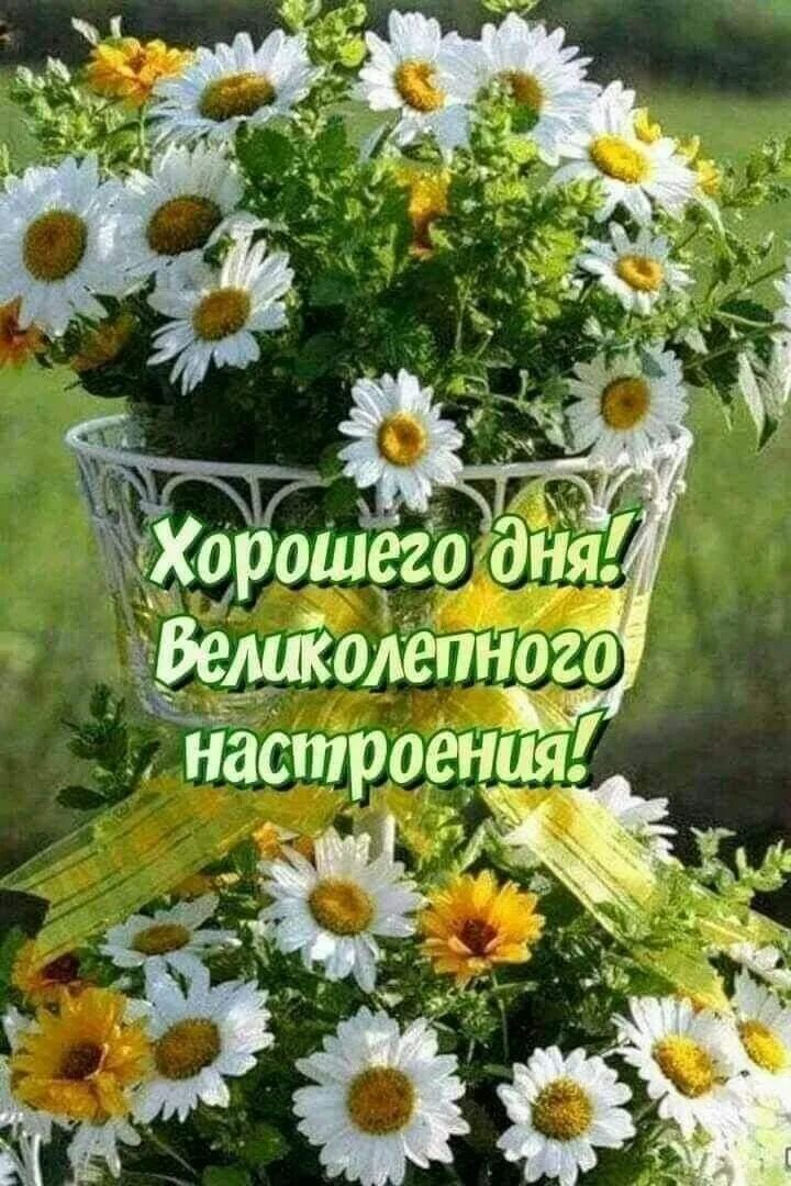 Картинки доброго дня хорошего настроения летние Пин от пользователя Оля Ла на доске Хорошего дня Доброе утро, Счастливые картинк