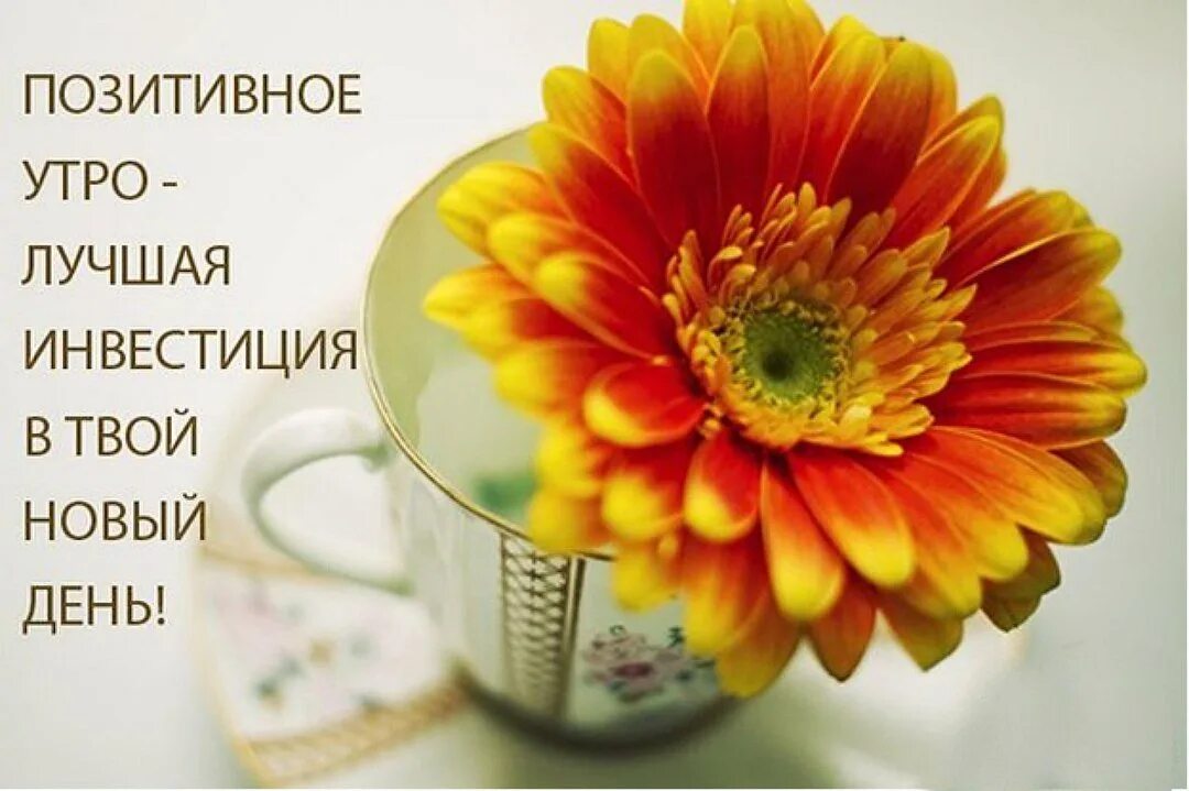 Картинки доброго дня с позитивными высказываниями Утро Субботы! Доброго Субботнего Утра! - смотреть видео онлайн от "ДОМОХОЗЯЙКА" 