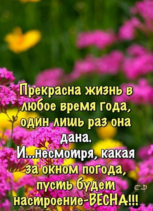 Картинки доброго дня с позитивными высказываниями Пин от пользователя Lina на доске Весна. Утренние цитаты, Вдохновляющие фразы, У