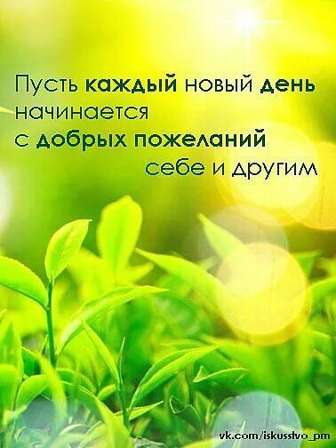 Картинки доброго дня с позитивными высказываниями Pin by Елена Янушко on Мудрость жизни Plants, Herbs
