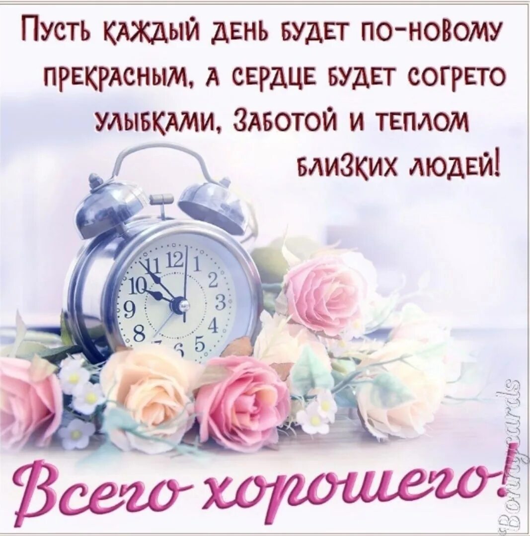Картинки доброго дня с умными пожеланиями Картинки УМНЫЕ ПОЖЕЛАНИЯ УТРОМ