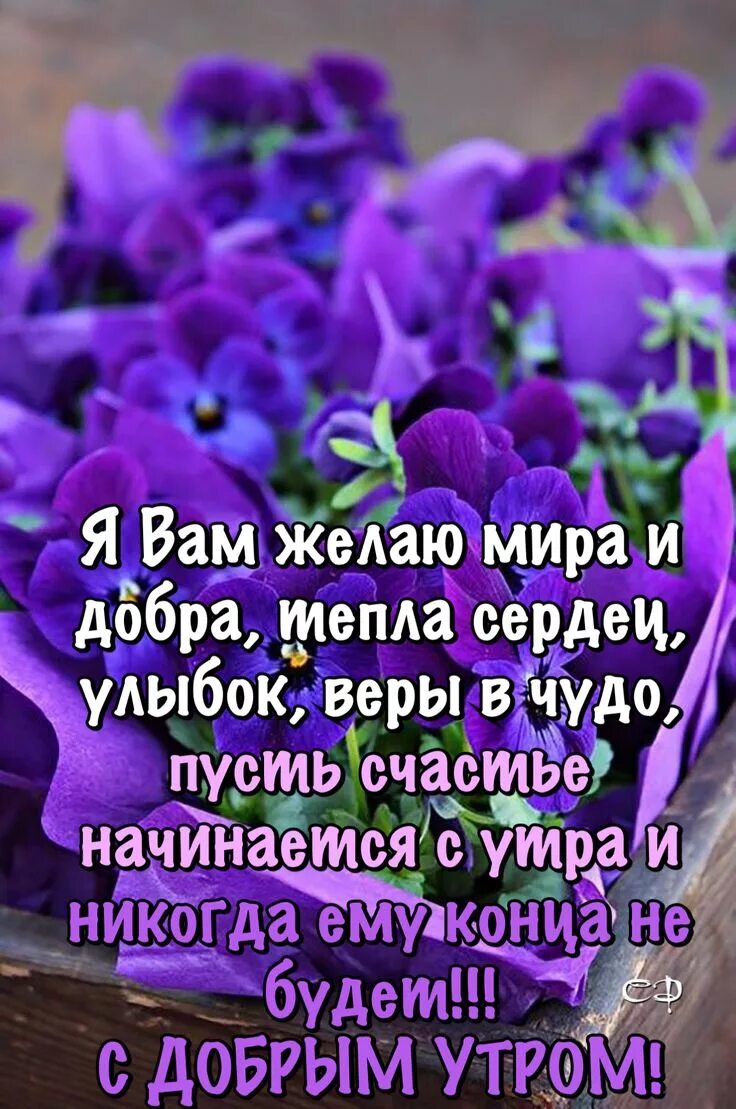 Картинки доброго дня с умными пожеланиями Pin em С добрым утром Astrologia