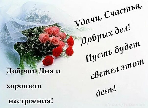Картинки доброго дня с умными пожеланиями ПРИВЕТСТВИЯ и ПОЖЕЛАНИЯ, открытки на каждый день. - 12 марта 2020 в 10:42