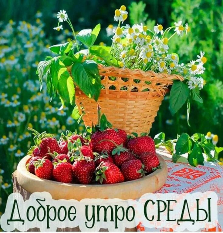 Картинки доброго летнего утра новые бесплатно Пин на доске Літо Летние картинки, Картинки, Открытки