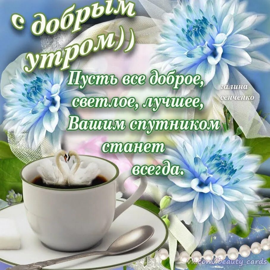 Картинки доброго мирного утра красивые с пожеланиями Послать картинку с добрым утром